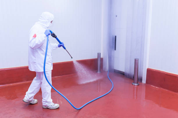 Best House Exterior Washing  in Forest Meadows, CA