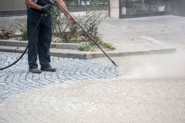 Best Oil Spill Cleanup  in Forest Meadows, CA