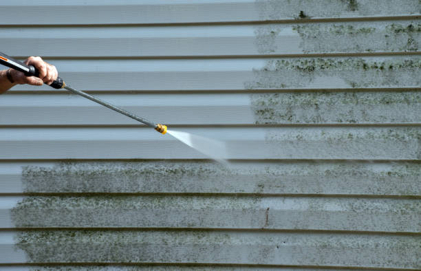 Best Warehouse Cleaning  in Forest Meadows, CA