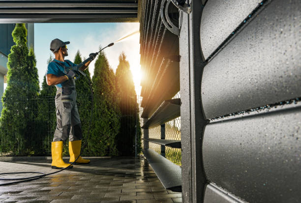 Best Soft Washing  in Forest Meadows, CA